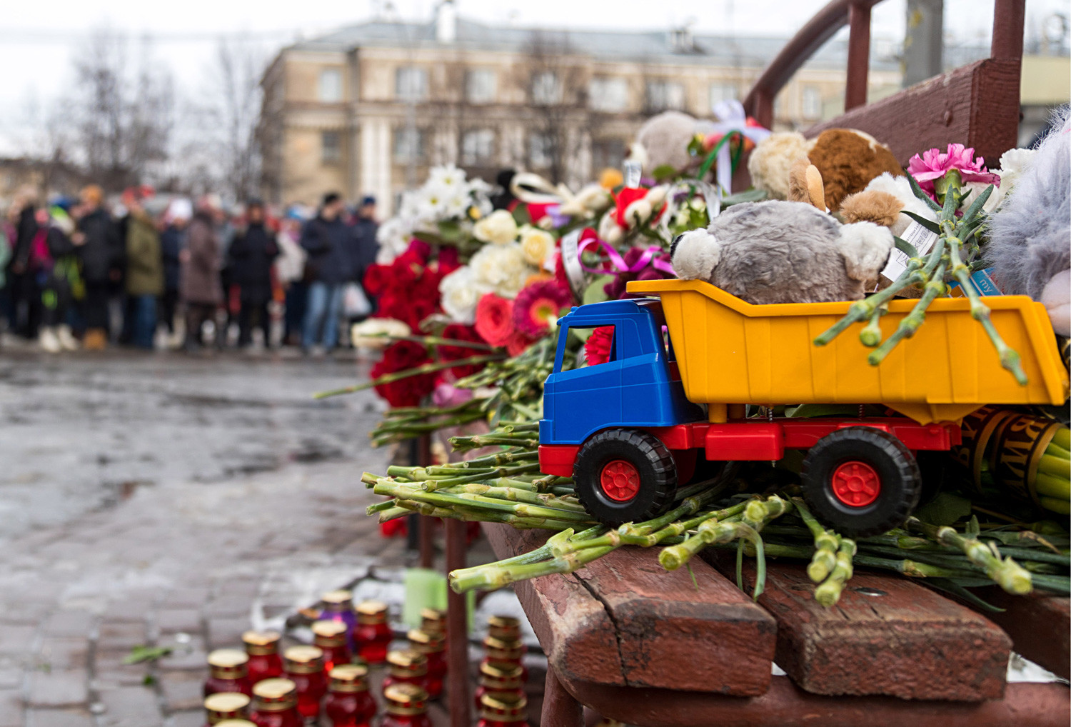 Фото сафоновой в зимней вишне