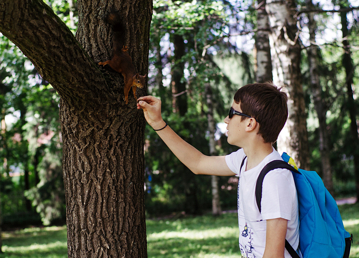 Dječak hrani vjevericu u parku-rezervatu Pavlovsk blizu Sankt-Peterburga.

