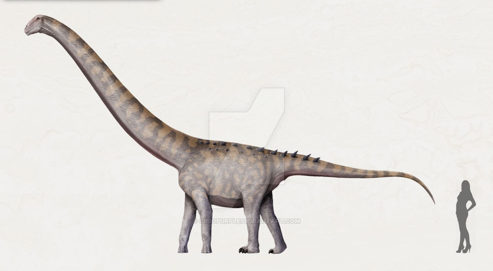 dino lingo russian dino lingo russian