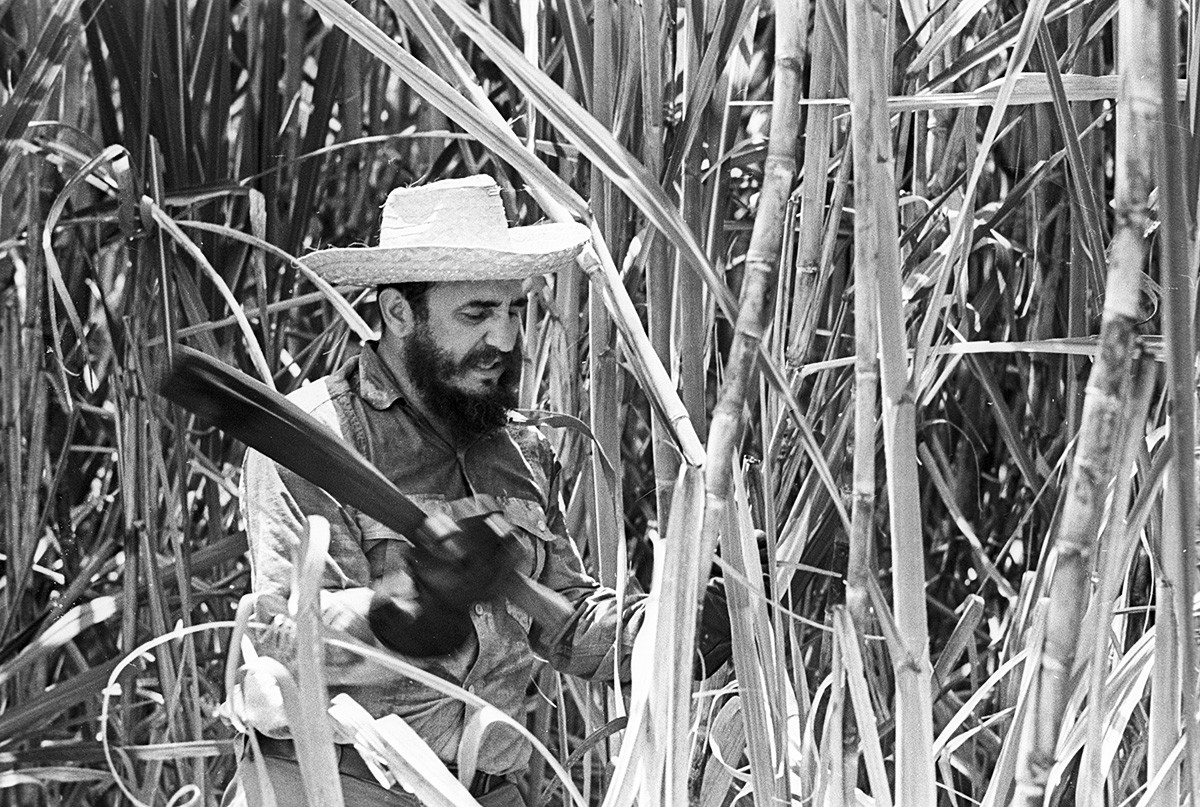 Fidel Castro en un lugar donde se corta caña de azúcar, 1969.