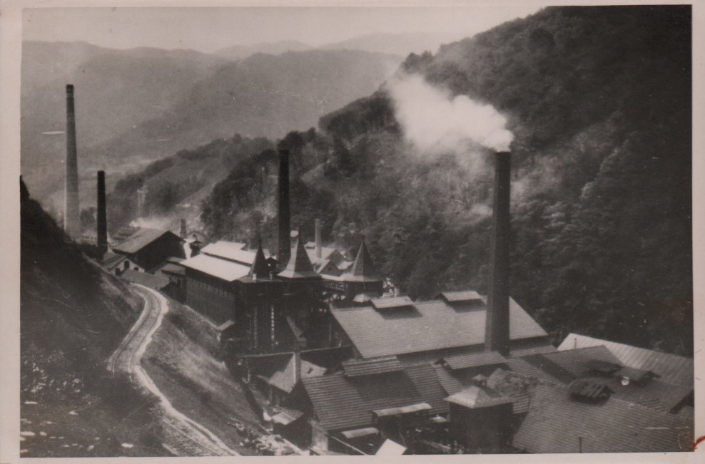 Pogled na Tovarno kemičnih izdelkov Hrastnik pred drugo svetovno vojno