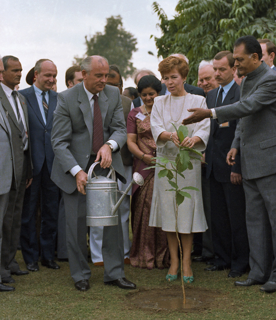 Michail Gorbatschow und seine Frau Raissa pflanzen einen traditionellen indischen Champaka-Baum während eines Besuchs in Indien, 26. November 1986.  
