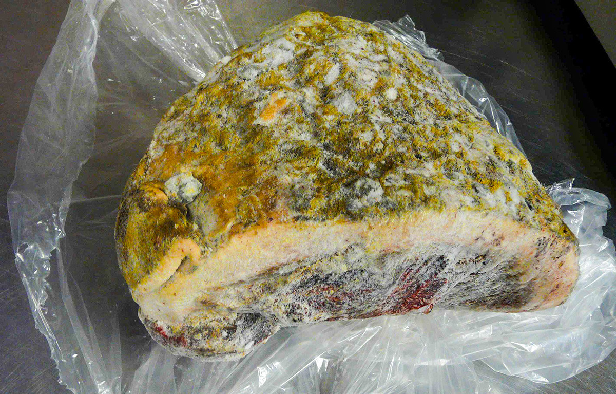 北方民族でなければ命を落としてしまう危険な料理 ロシア ビヨンド