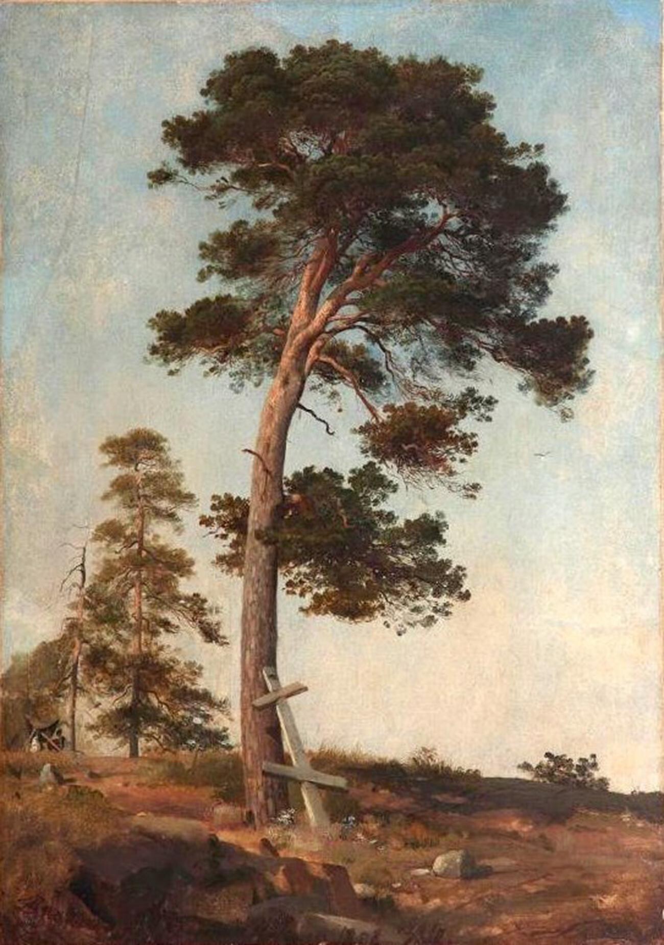 Сосна на Валааме, 1858 г.