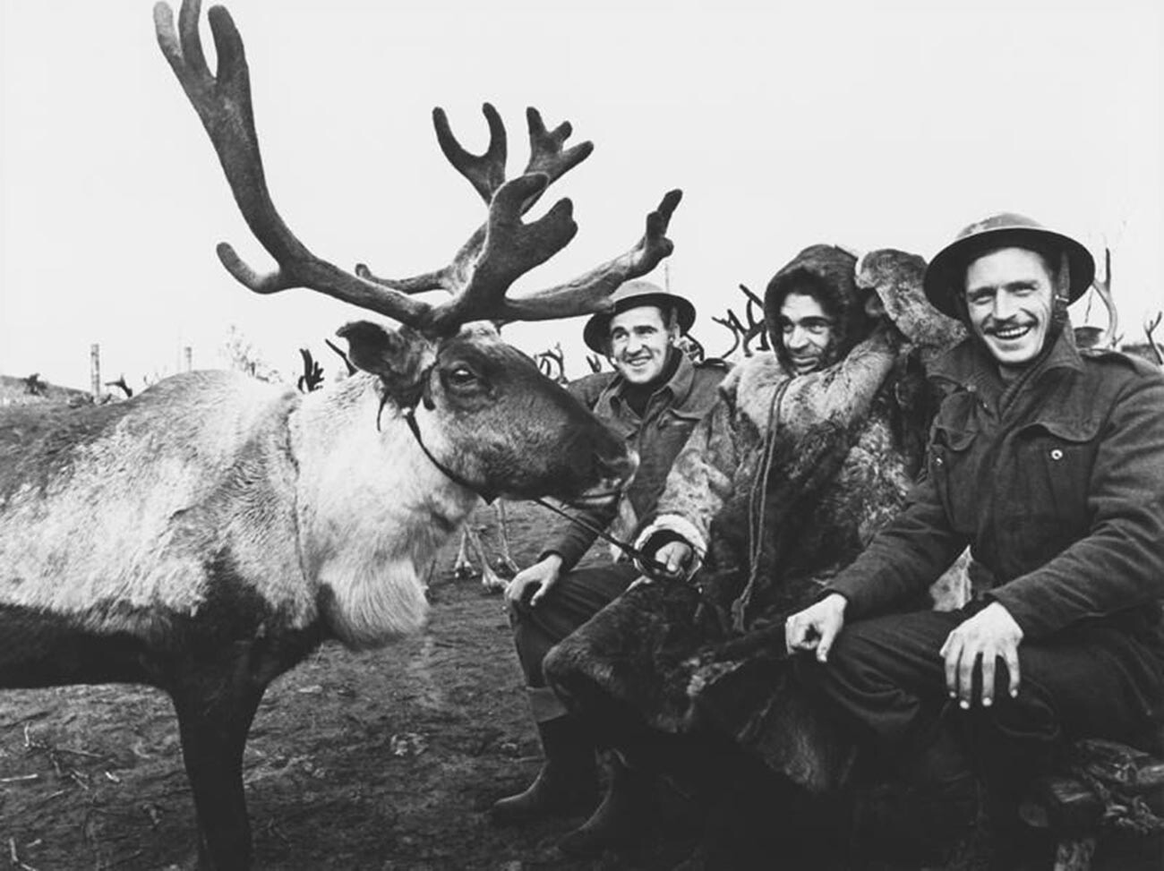 北極圏の空軍基地でのソ連のトナカイ飼いと英国の航空整備士。