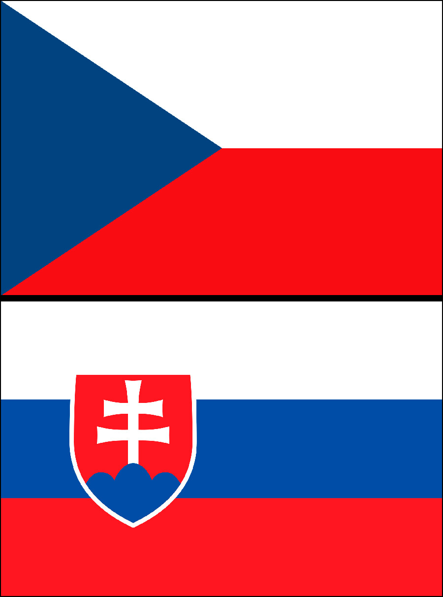 Why do the flags of slavic countries look alike pics russia beyond