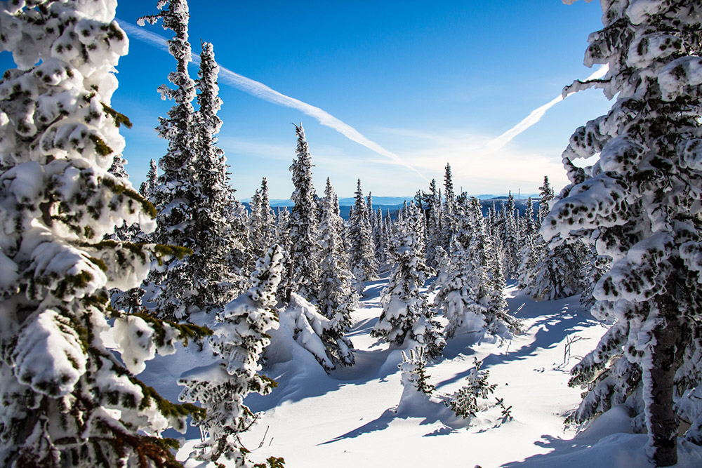 独特なシベリアの気候により、一年間で7ヶ月（11月から5月まで）スキーをすることができる。真のロシアの冬の美しさを満喫するにはうってつけの場所だ。