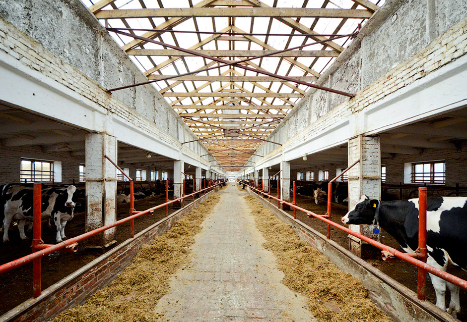 Pabrik Irmen terletak di Desa Verkh-Irmen, Novosibirsk. Aktivitas utama pabrik ini berpusat pada produksi dan pengolahan susu, daging, dan biji-bijian. Setengah dari keseluruhan hasil produksi pabrik tersebut berupa susu, sementara presentase hasil produksi daging dan biji-bijian masing-masing 16 persen.