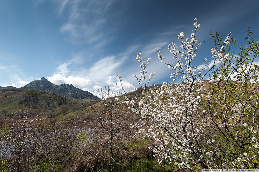 2/12. Poluotok je posebno privlačan u proljeće. Raskoš boja mami fotografe da iznova bilježe ljepotu polja prekrivenih tulupinima i zumbulima, i ljepotu stabala divljih jabuka i bresaka u cvijetu.
