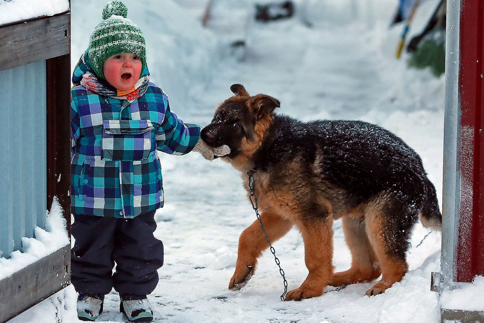 Russia. Khanty-Mansiysk. Child and dog on the streets of the city.
