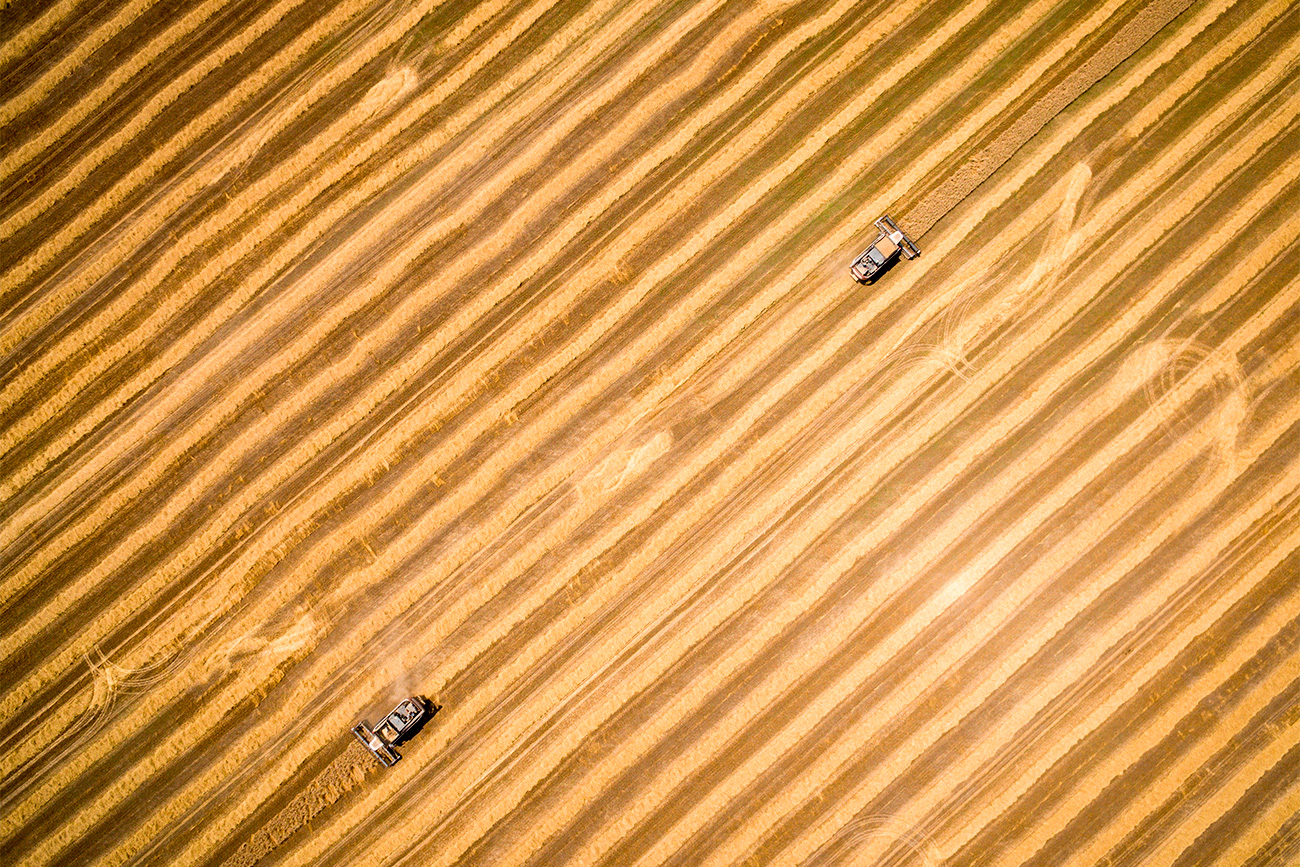 Harvesting wheat on the Agrocomplex fields in the Krasnodar Territory. 18.07.2017