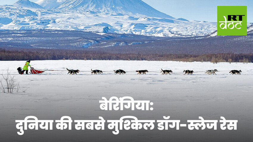 बर्फ़ीली डॉग रेस