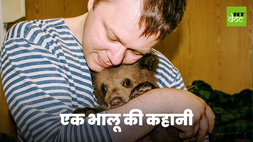क्या भालू पालतू जानवर बन सकता है?