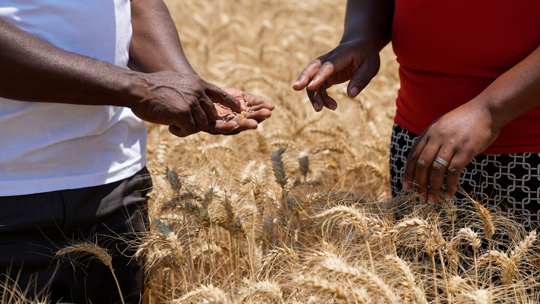Rusija može da snabdeva siromašne države: Moskva nudi alternativu sporazumu o žitu