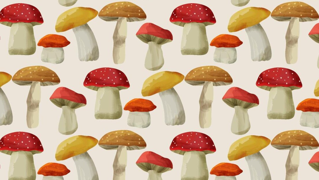 Како су печурке постале дизајнерски хит за 2023. годину