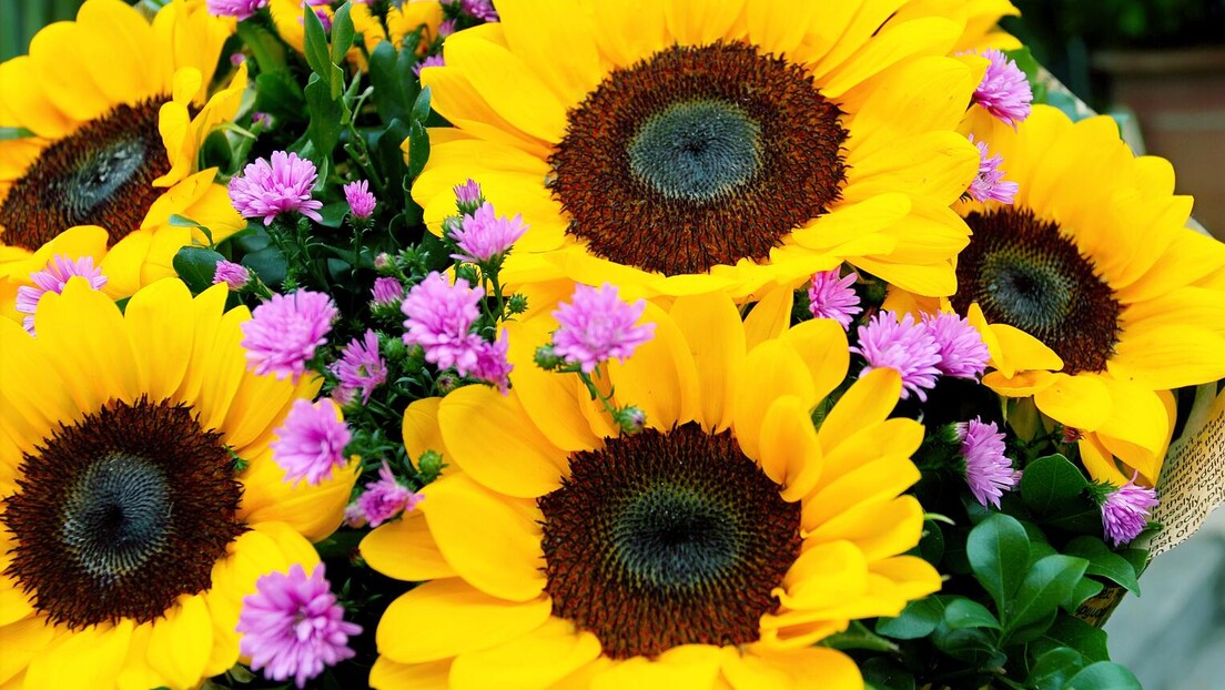 Симболика цвећа и боја: Које цвеће поклонити за 8. март