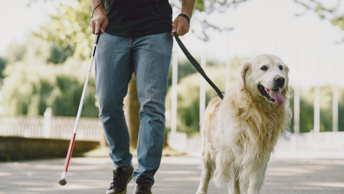 Od krznenog prijatelja do pomoćnika: Kako nam radni psi pomažu da budemo sigurni i zdravi
