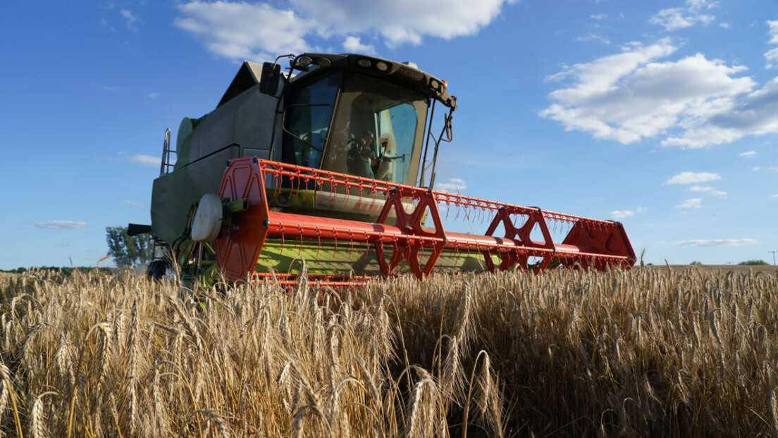 Откупна цена пшенице у Србији 17, а у Паризу 28 динара: Пољопривредници питају зашто?