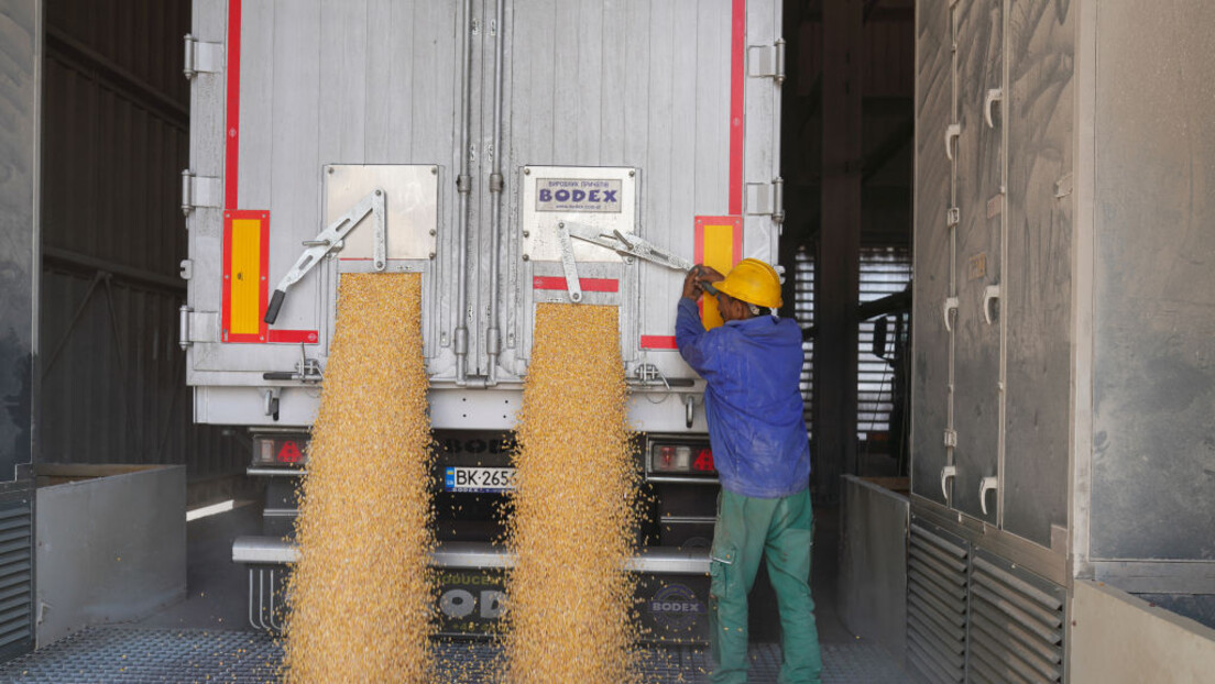 РТ Балкан истражује: Како ће укидање Споразума о житу утицати на цену и извоз српске пшенице