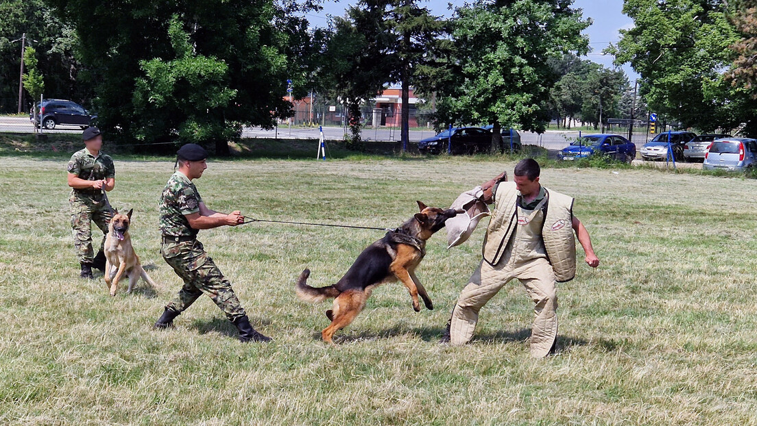 Обука полицијских паса: Учимо их да се ничега не плаше