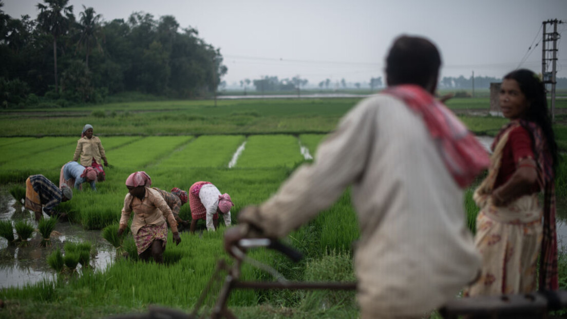 Нова прехрамбена криза на помолу: Индија забранила извоз свих врста белог пиринча