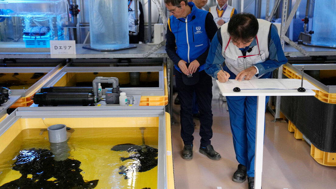 Kod Fukušime ulovljena riba sa visokim nivoom radioaktivnog materijala