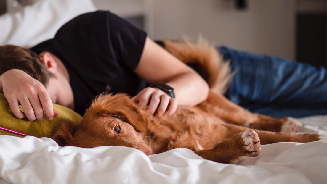 Naučnici upozoravaju: Spavanje s psom u krevetu može imati negativne zdravstvene posledice