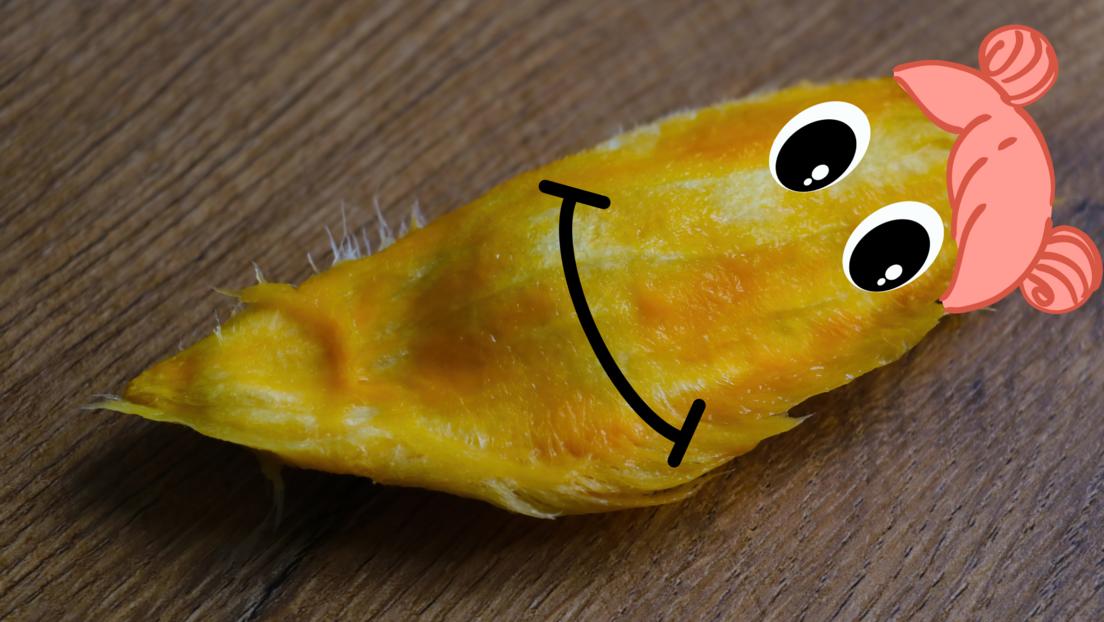 ТикТок "запалили" необични кућни љубимци: У Кини помама за мангом, његове коштице "злата вредне"
