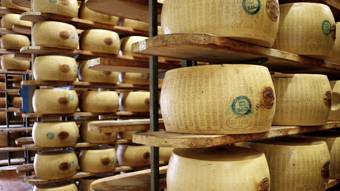 Последице врелог таласа: Италијански произвођачи сира расхлађују краве како стигну