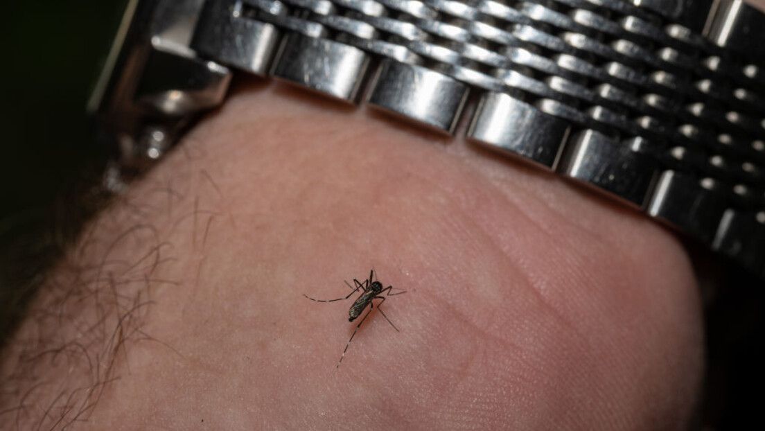 УН упозоравају на могуће епидемије: Тропске болести и комарци на рекордном нивоу у ЕУ