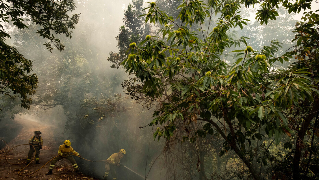 На Тенерифима евакуисано 12.000 особа, пожар погодио 11 општина