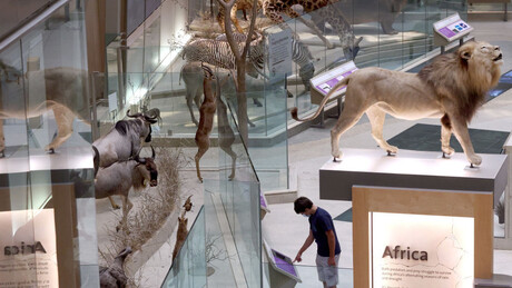 Prirodnjački muzej u Vašingtonu ima 30.700 ljudskih kostiju i delova tela