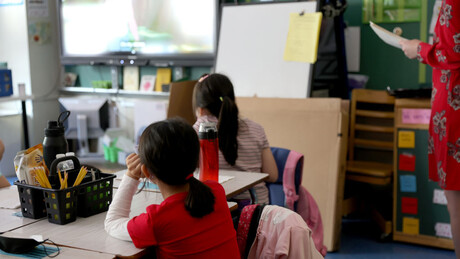 Попис показао колико смо писмени: Резултати феминистичке борбе показали се на пољу образовања