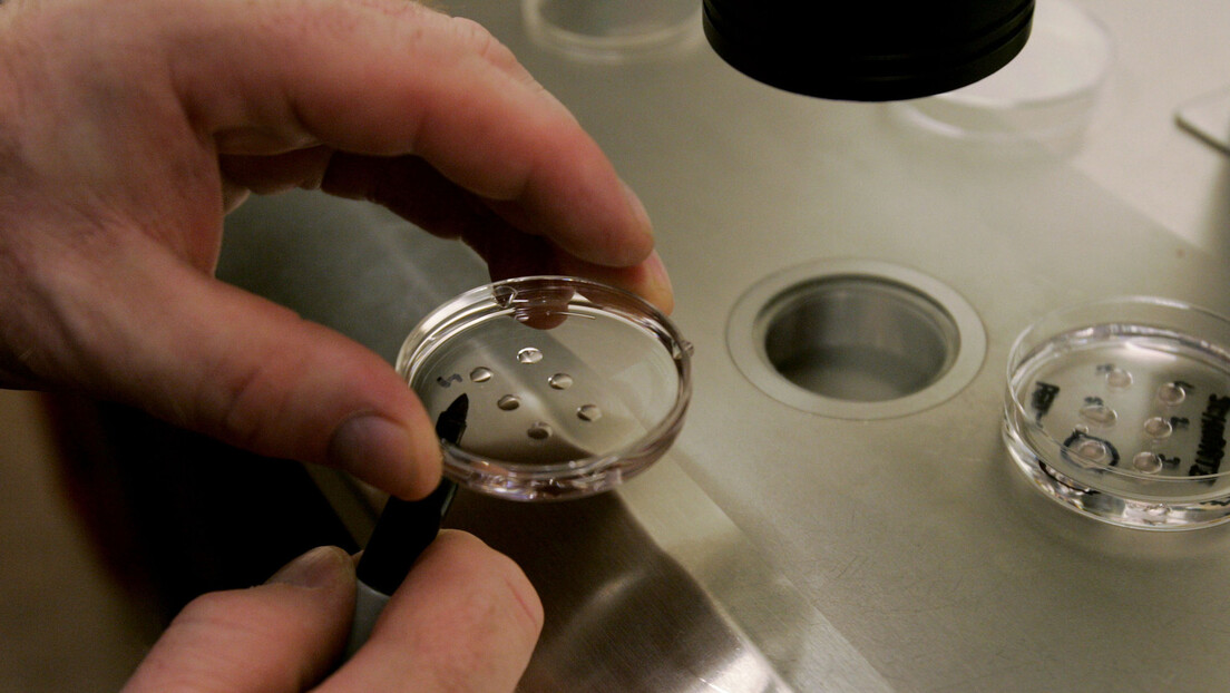 Научници узгајају модел људског ембриона без сперме и јајне ћелије