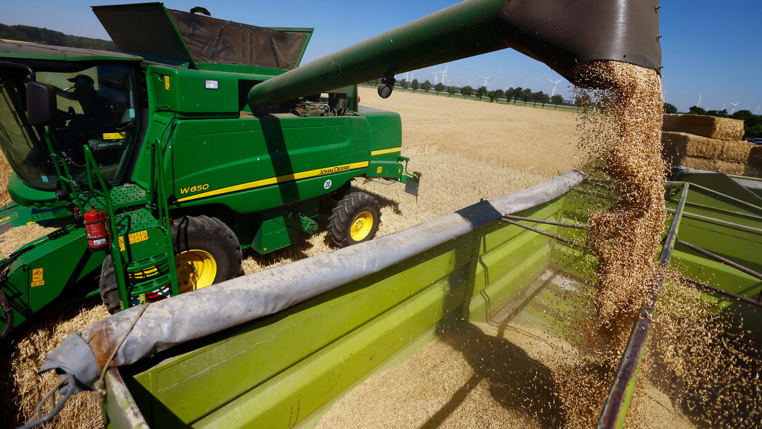 "Блумберг": Руска пшеница нема конкуренцију