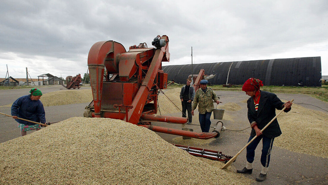 "Фајненшел тајмс": Криза избегнута, цене пшенице падају, руски род замењује украјинске залихе