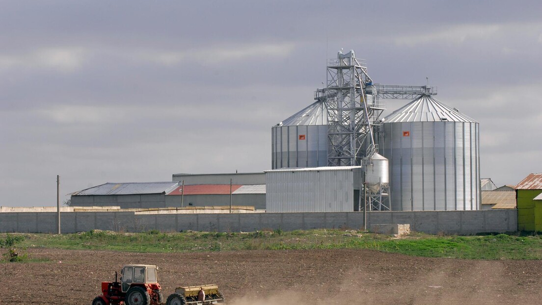 Силоси крцати, али купаца за пшеницу нема - ратари се жале да цена не покрива трошкове производње
