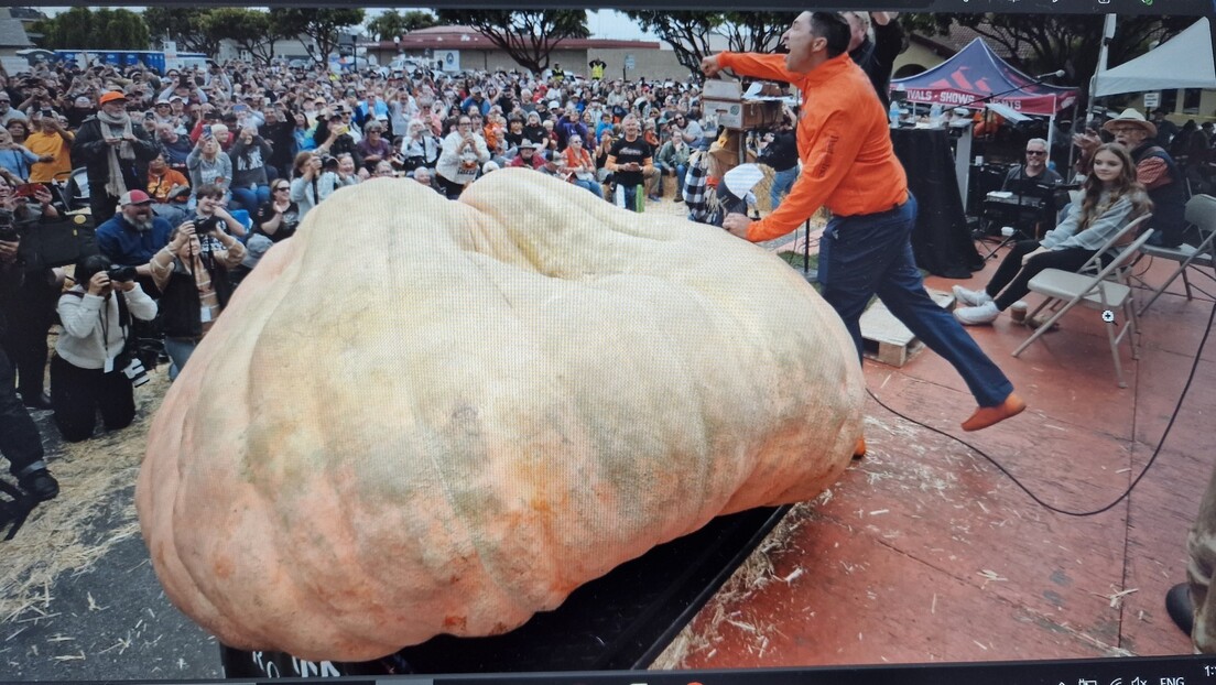 Упознајте "Мајкла Џордана", највећу бундеву на свету тешку преко 1200 килограма