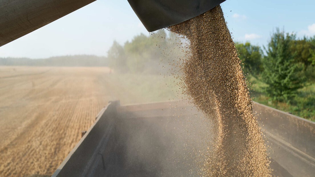 Нови рекорди: Египат купује од Русије 800.000 тона пшенице