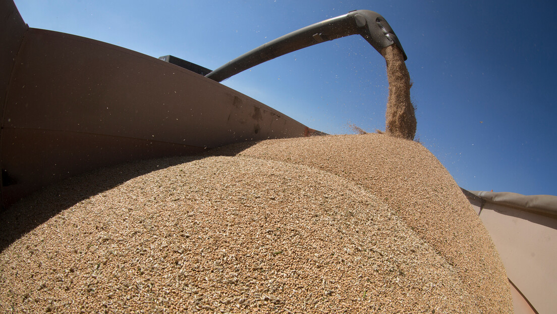 Rekordna žetva u Rusiji: Očekuje se oko 140 miliona tona žita