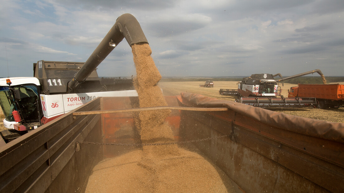 Ruska pšenica ide na Bliski istok: Sirija otkupila rekordnu količinu