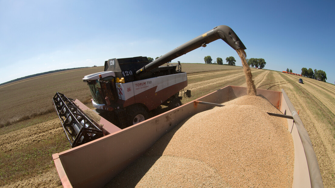 Rusija obara rekorde u proizvodnji pšenice, a Evropa u uvozu ruskih žitarica