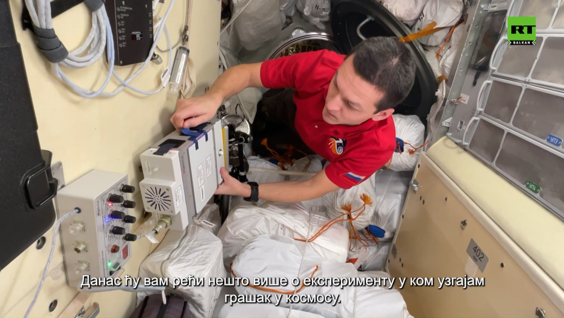 Грашак у космосу: Руски астронаут и московски школарци у заједничком експерименту