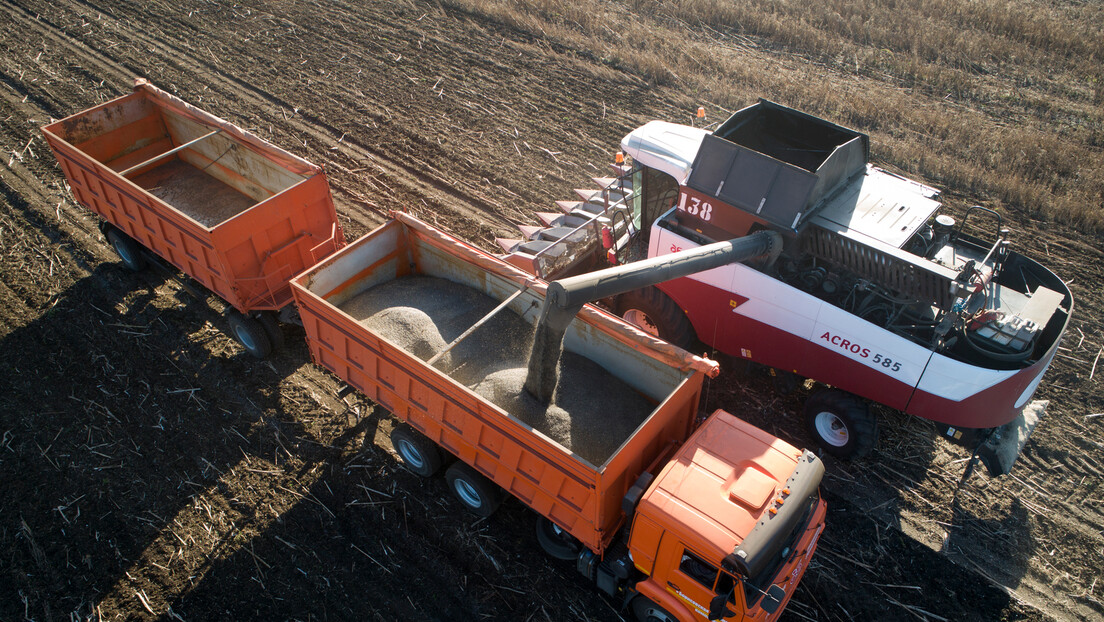 Rusija povećava robne rezerve: Država otkupila još 260.145 tona žitarica od proizvođača