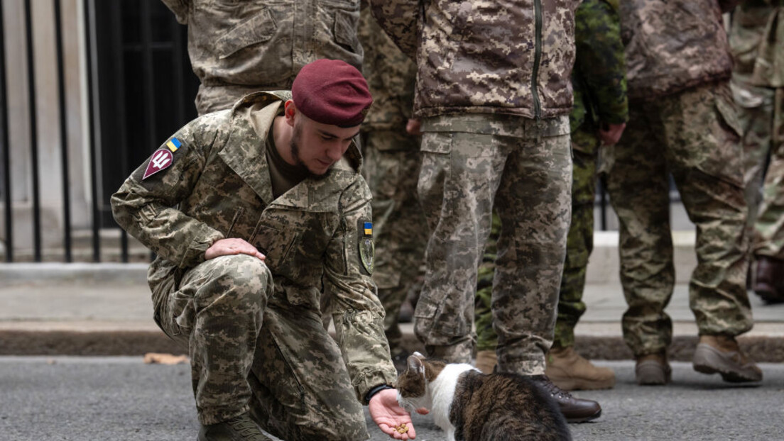 Kad sve drugo propadne, ti probaj sa snimcima životinja: Ukrajinci sad mobilišu mačke