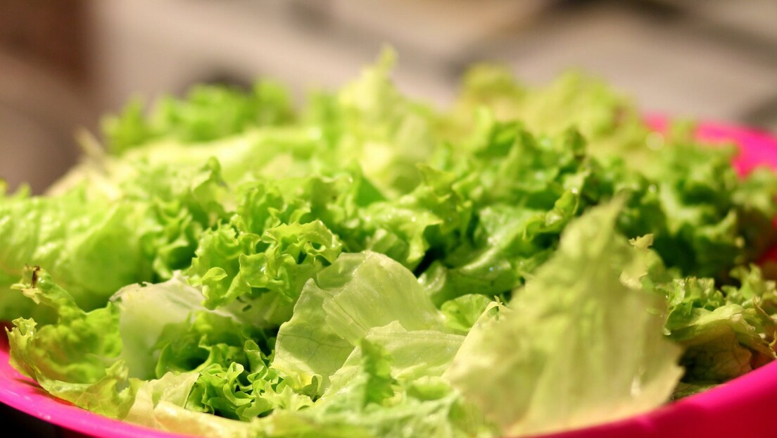Zelena salata je promenila boju i postala rozikasta: Da li to znači da je pokvarena
