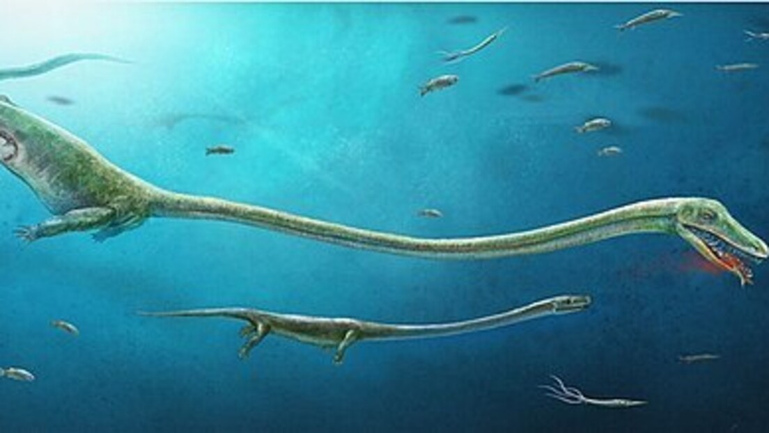 Otkriven prvi kompletan fosil "zmaja" star 240 miliona godina