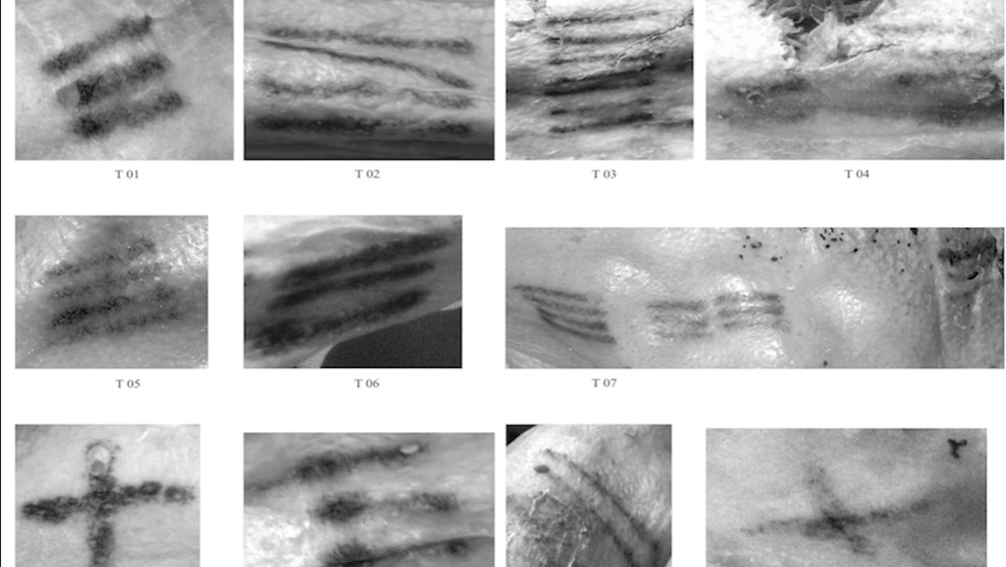 Otkrivena tajna Ecijevih tetovaža: Evo kako su nastali motivi na telu "Ledenog čoveka"
