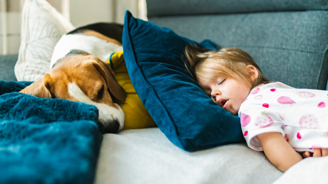 Спавање са псом побољшава квалитет сна код деце са аутизмом