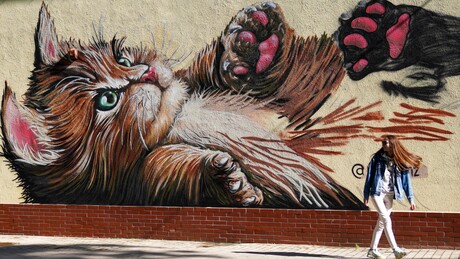 Руски град Зеленоградск се нашао у ТОП 5 "најмачкастијих" градова на свету